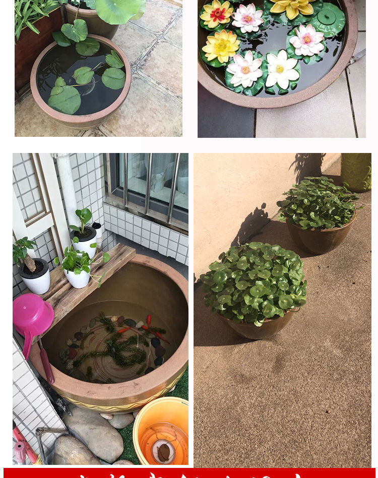 e9c2ee3c-6c95-4d63-92f5-3c5926b086d5.jpe