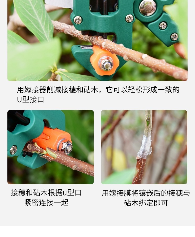 e40cb2fe-d657-43e2-94f4-2acba1dd440d.jpe
