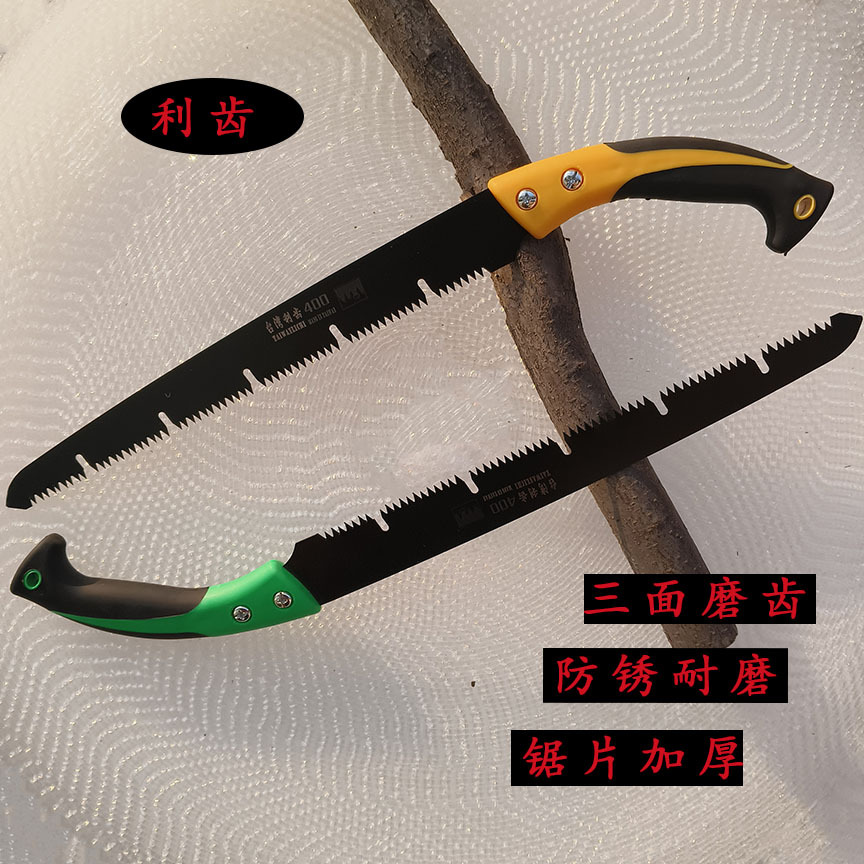 微信图片_20241220151312 拷贝