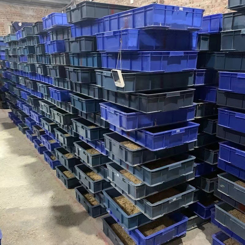 04d3f4f4-19a6-498e-ace3-094a907a490a.jpe