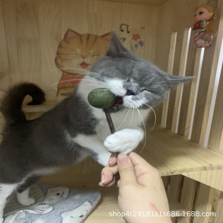 微信图片_20210413222248