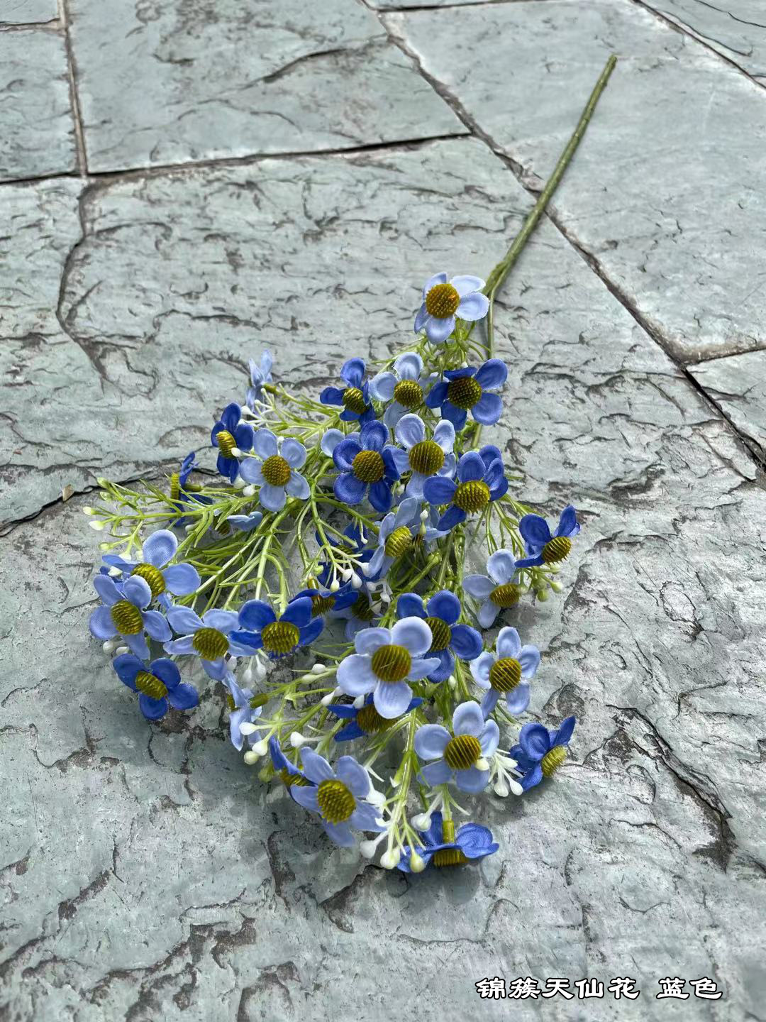 微信图片_20211024121107