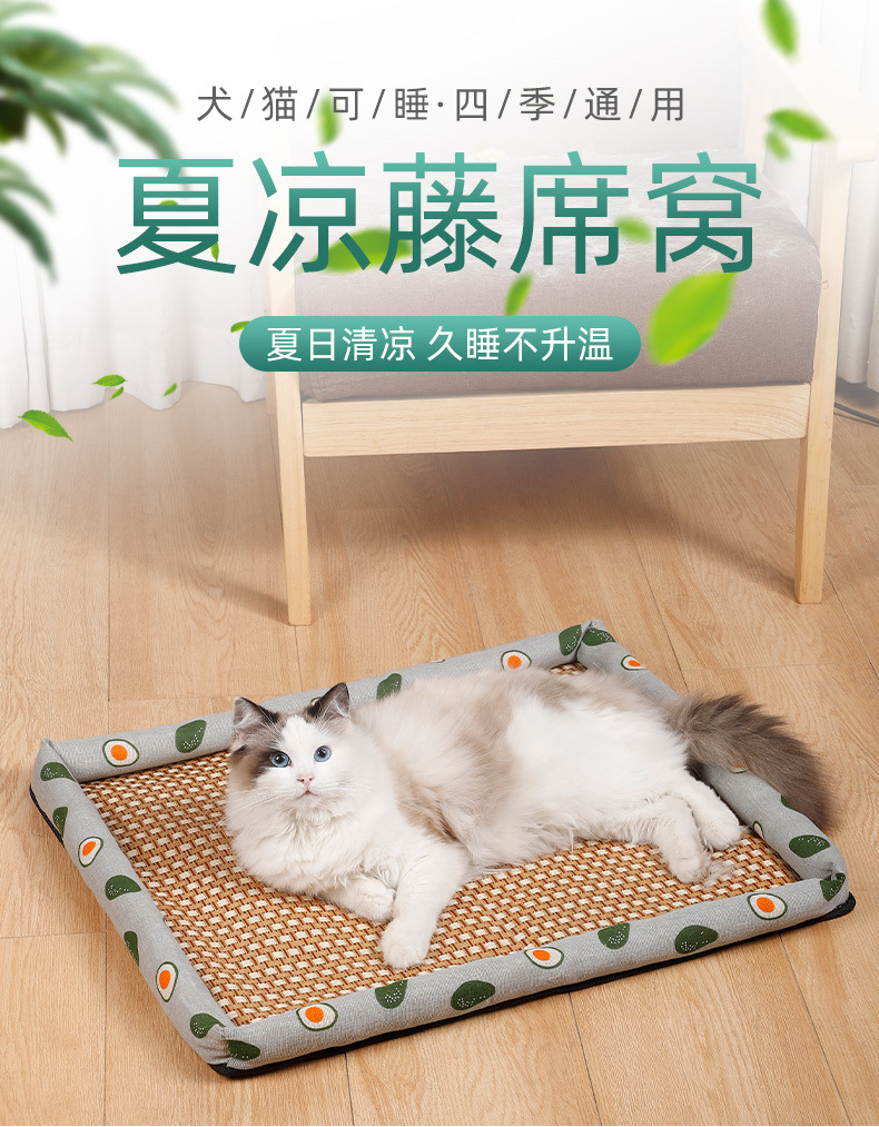 c46b583c-ebde-4dc8-92d7-c15f2dfa3860.jpe