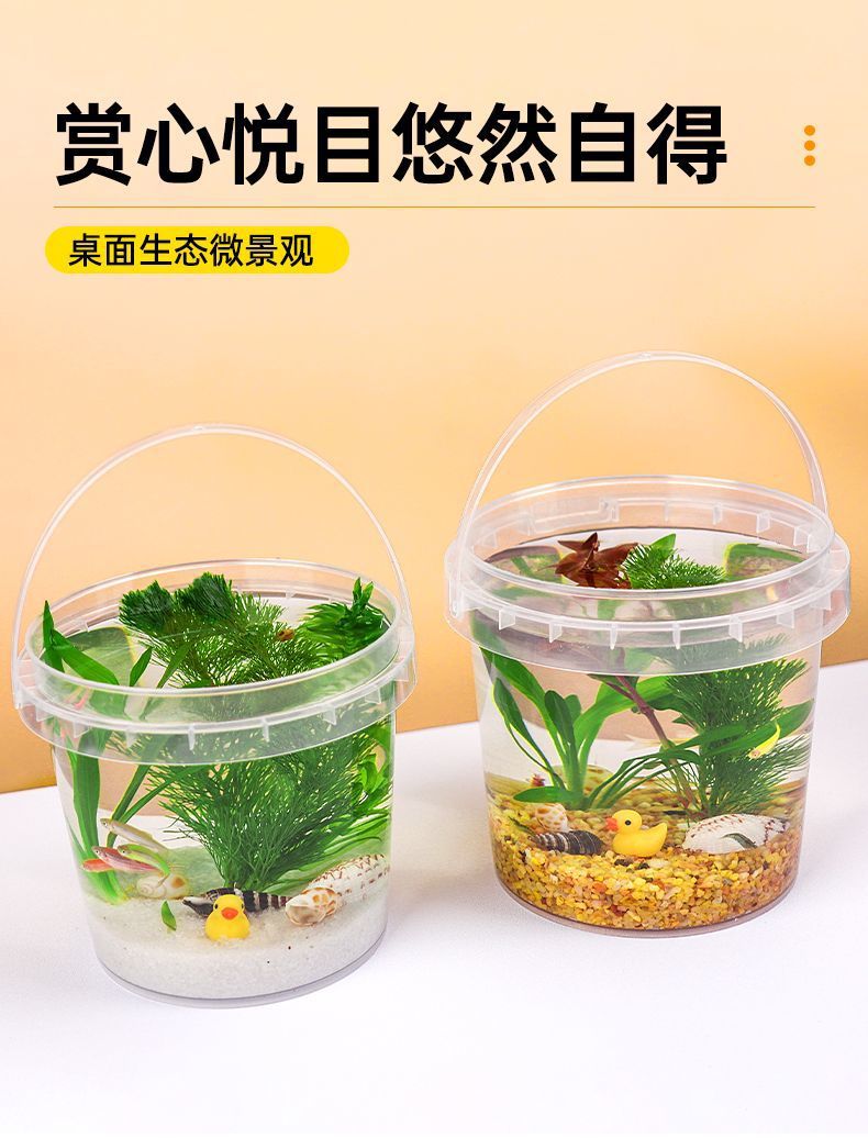 da1001c0-2c89-4c2a-961c-2227716008d9.jpe