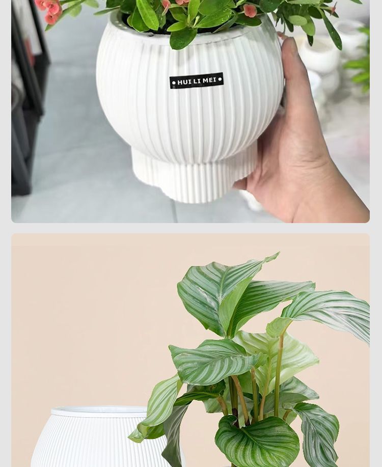 588e5a34-8cca-4bd8-97db-fb6c2b71c6b9.jpe