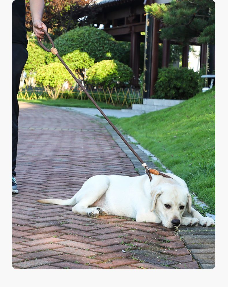 0b764612-884e-4a3d-b602-ac61e4a9f23b.jpe