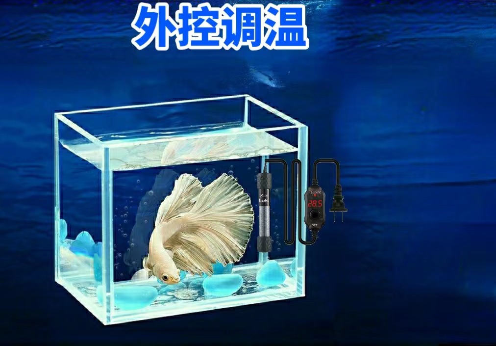 2e11bc284456dc195d0b5ba3b0bc52