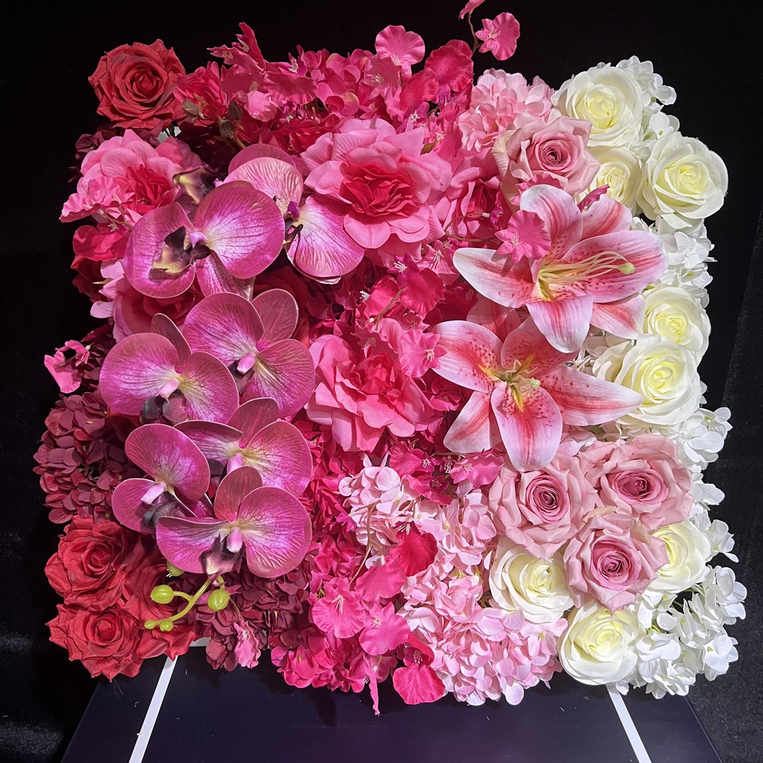 微信图片_20230226180934_副本