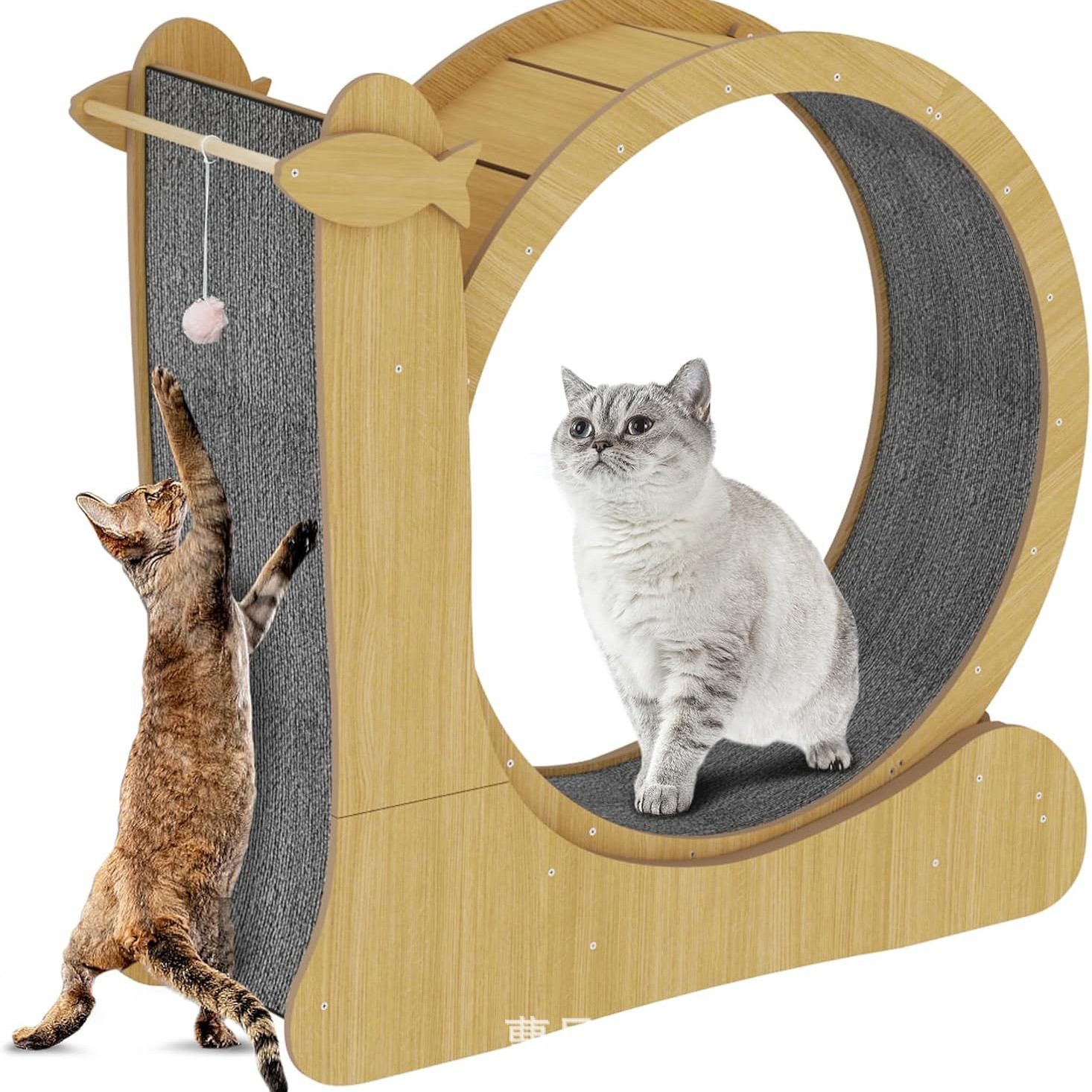 2025-04-15 09:13:56.jpg