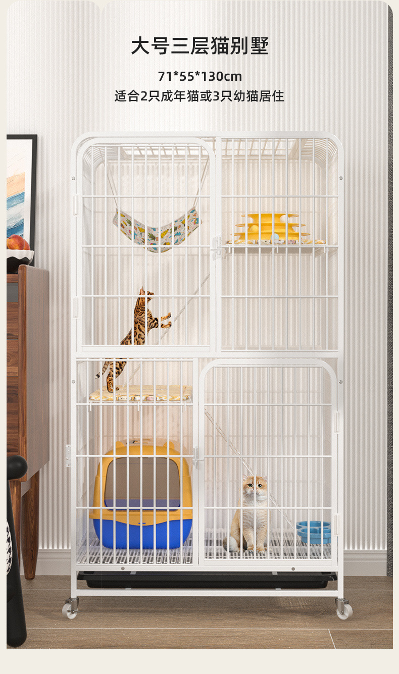 7111f596-27ac-403b-82af-8d6bacef3bd6.jpe