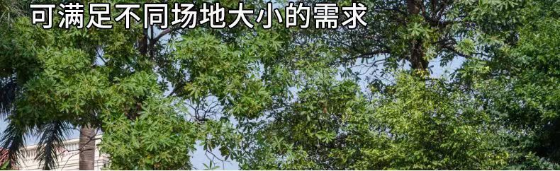 1bf05b1a-7e45-48d3-a435-d335c6e8f31c.jpe