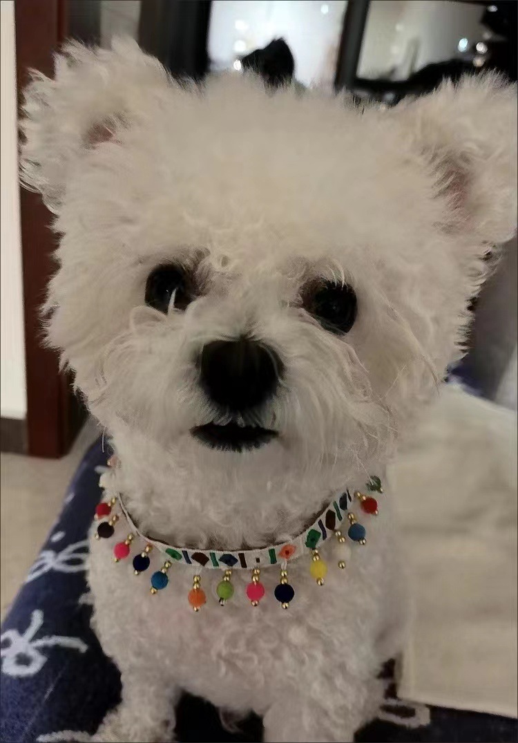 微信图片_20231122151116