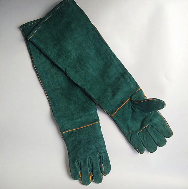 19668041104_1446213344.640x640