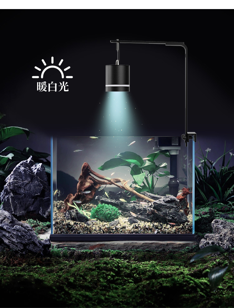 9334c3b6-d20c-420b-8f0b-f04e12b21341.jpe