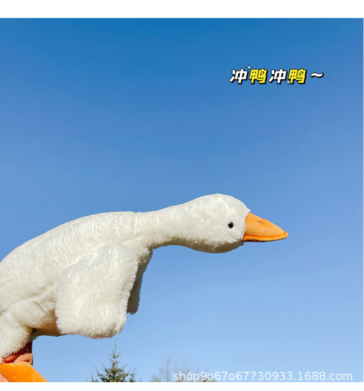 O1CN01j55ztH1EjkRTRJhGl_!!2210