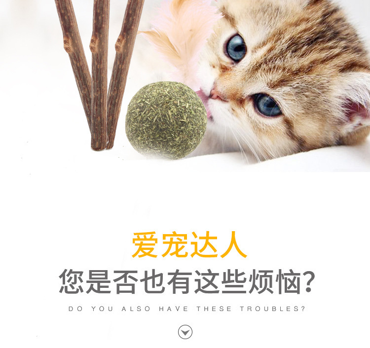 猫薄荷球_02.jpg