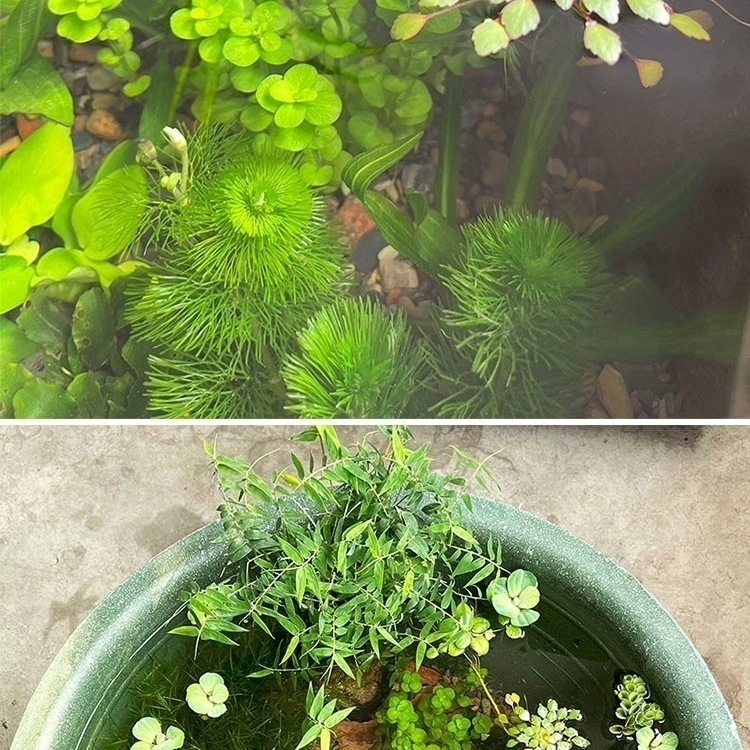 c60f24ce-b8fd-4c9a-9daf-b2698d19a7dd.jpe