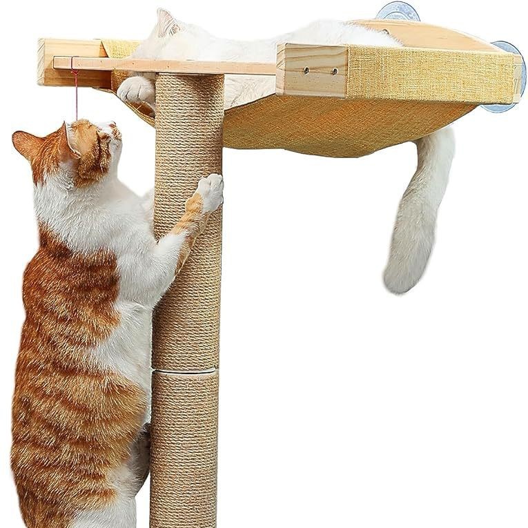 2025-04-14 10:45:34.jpg