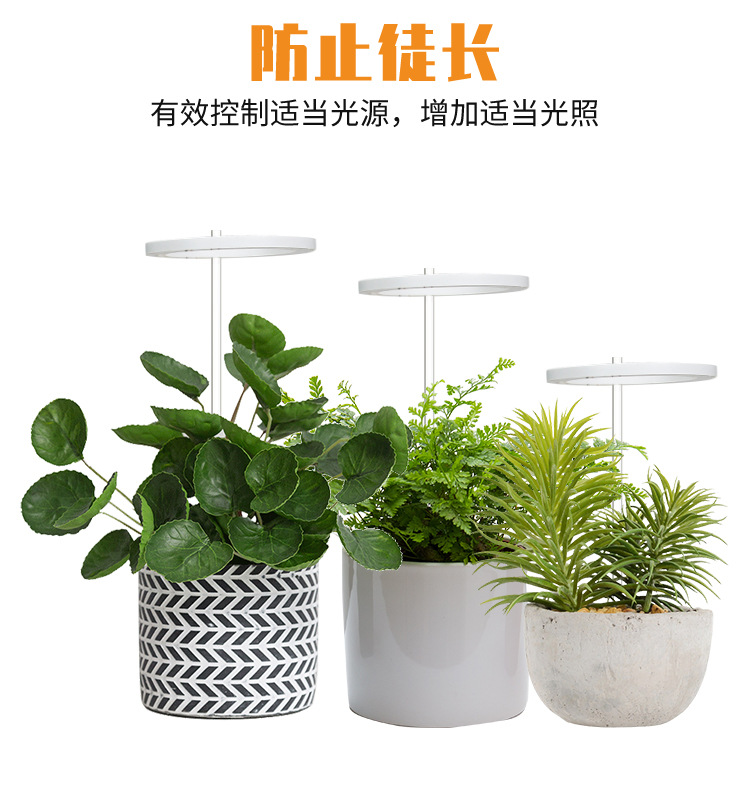 详情页_05.jpg
