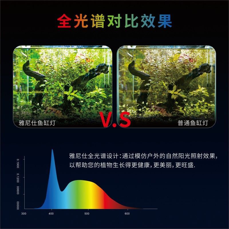 02e2def3-36cb-4753-bd03-72f4052884c6.jpe