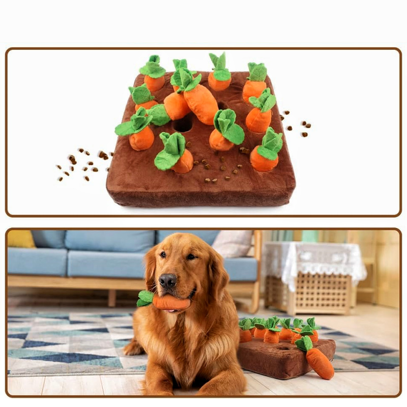 微信图片_20240731131935_副本