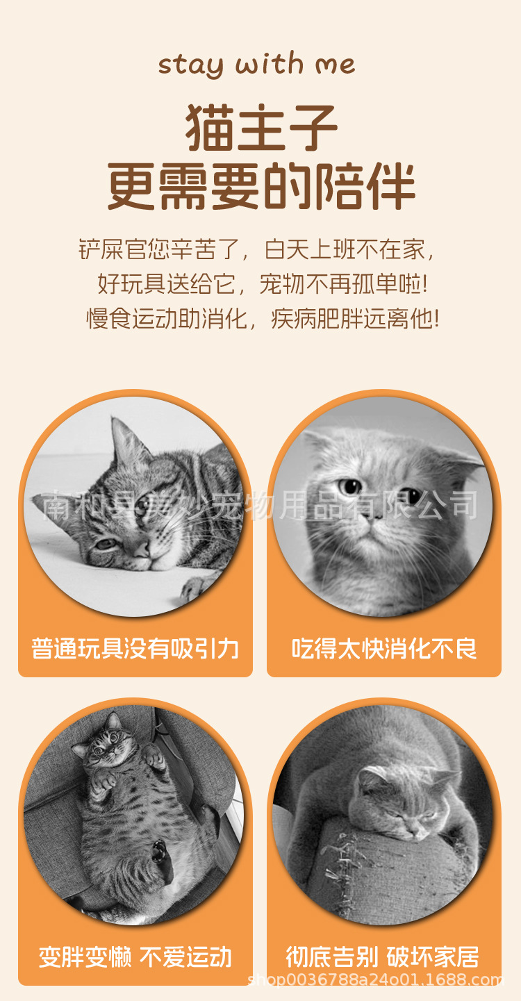 逗猫棒-详情页_02.jpg