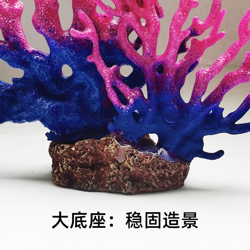 四海珊瑚4