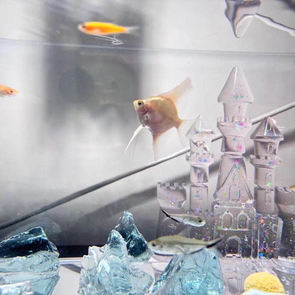 e1957dfd-d6f1-40fa-bf29-323c8ccb0e99.jpe