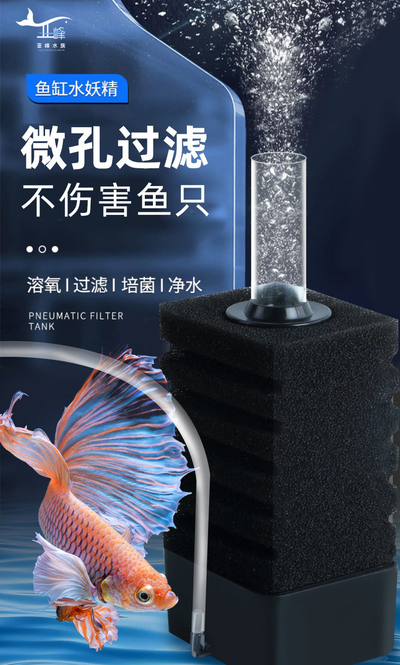 4edb632b-7fbf-4421-8efc-a69fba20e19e.jpe