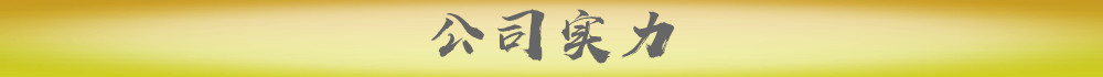 公司实力