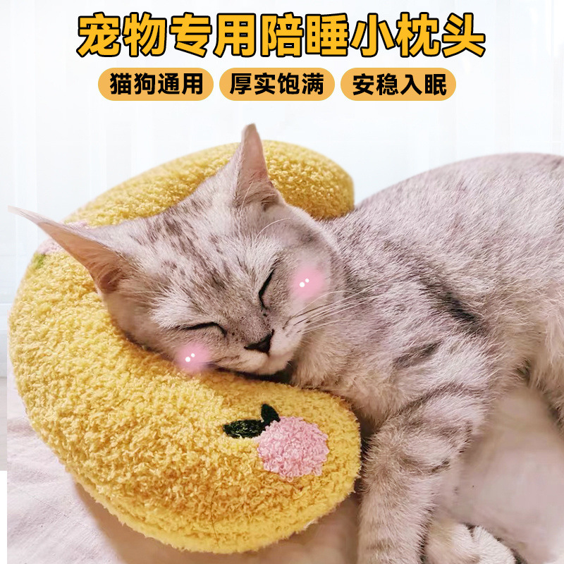 f97b072c-5004-4d03-b141-711af735c6c6.jpe