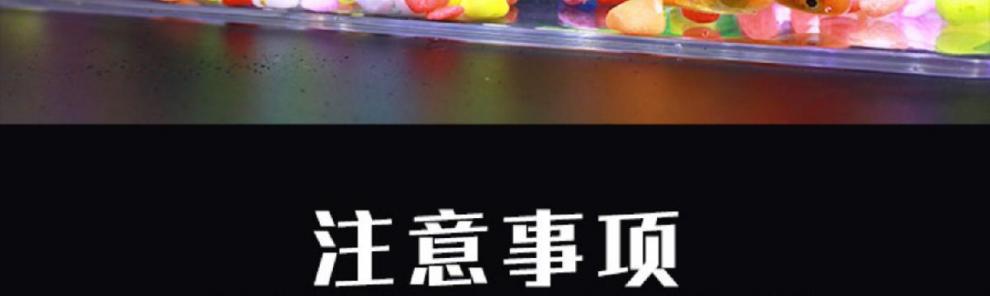 9710f005-64ec-447b-aaf6-8d30cedbf013.jpe