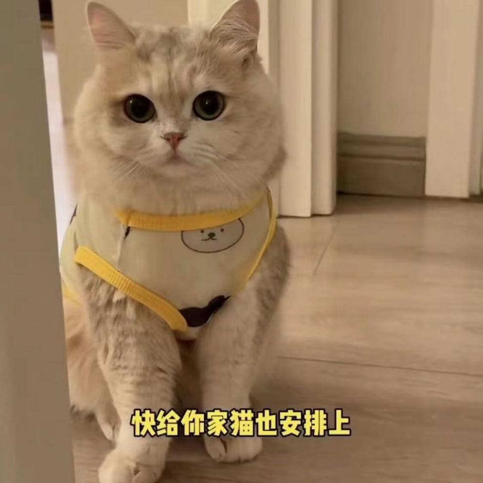 2ef7a051-f974-438d-aa02-57b9b1d5956d.jpe