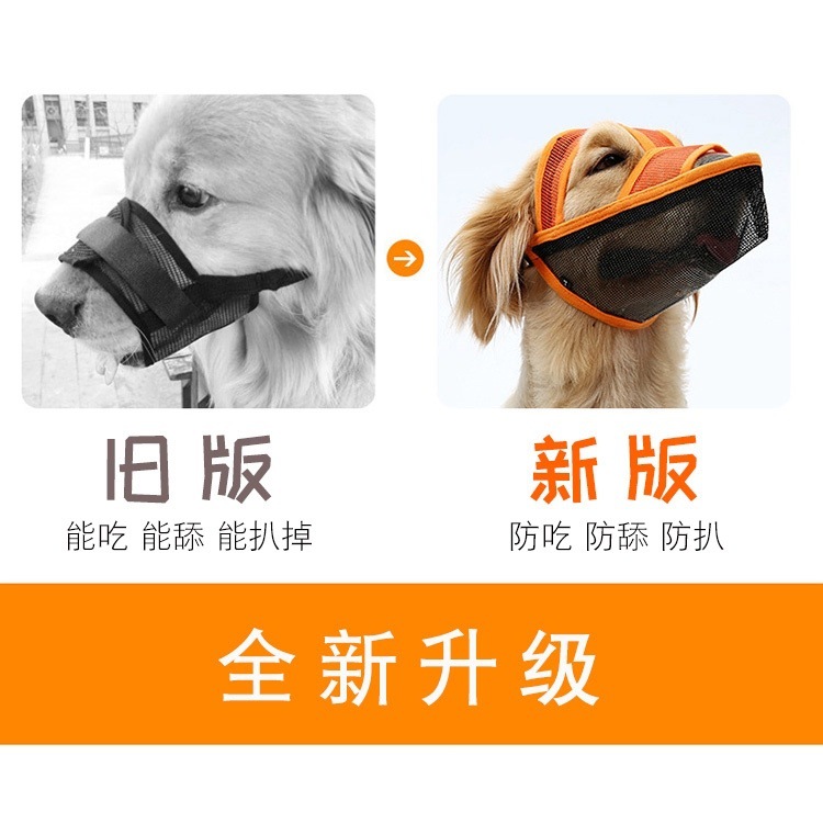 af18241f-a93f-4f7e-a128-6df4fe5a65cf.jpe