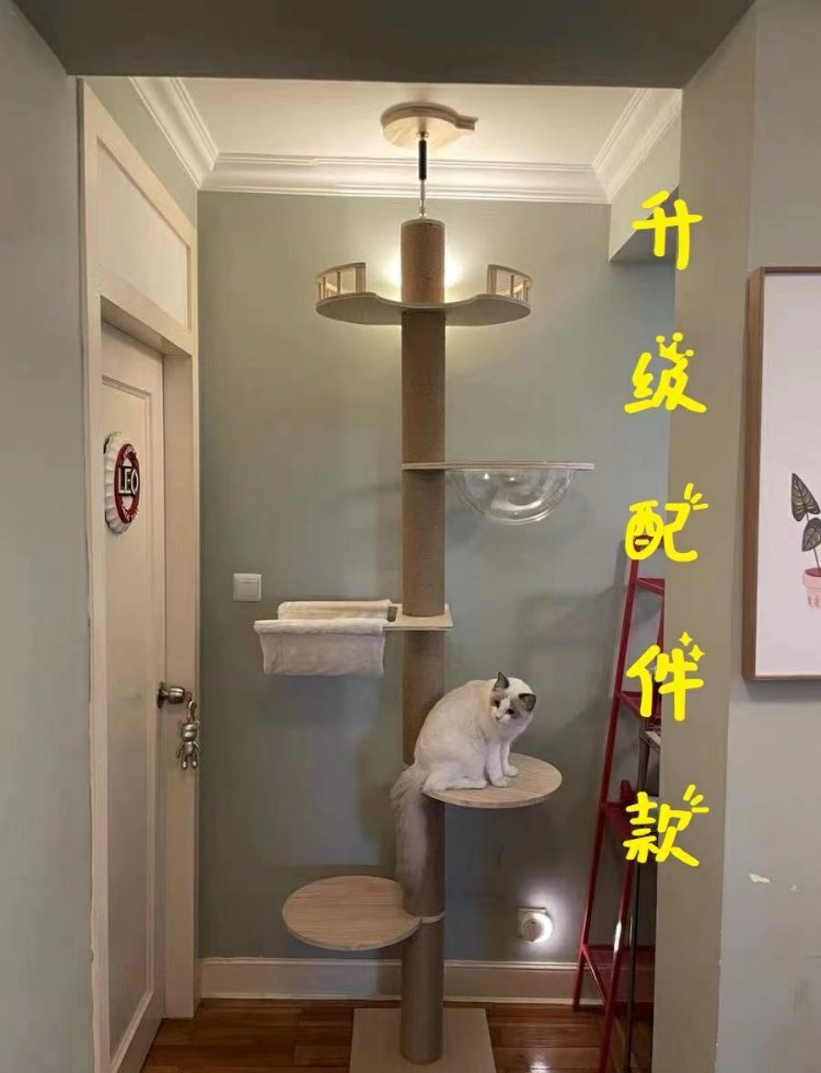 /O1CN01sxKwR21yQwnz88GTQ_!!2220008436574-0-cib.jpg