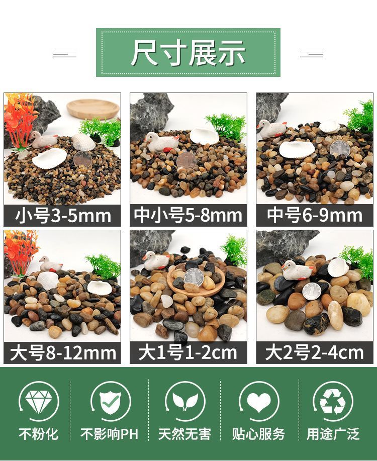 f6d24b35-58cc-4b2b-9d91-b8267a4c8c55.jpe