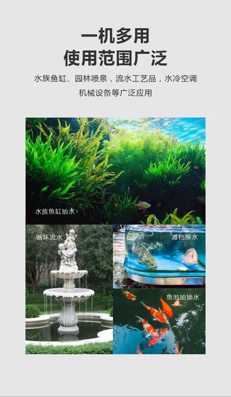 详情2.jpg