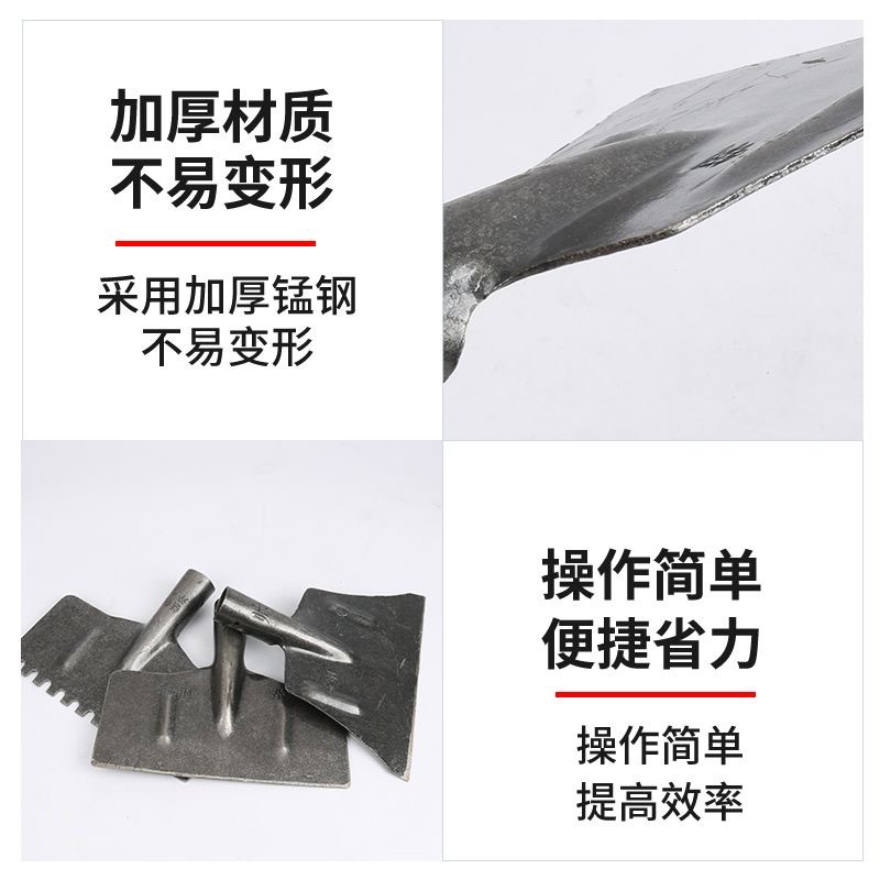 微信图片_20231227194427