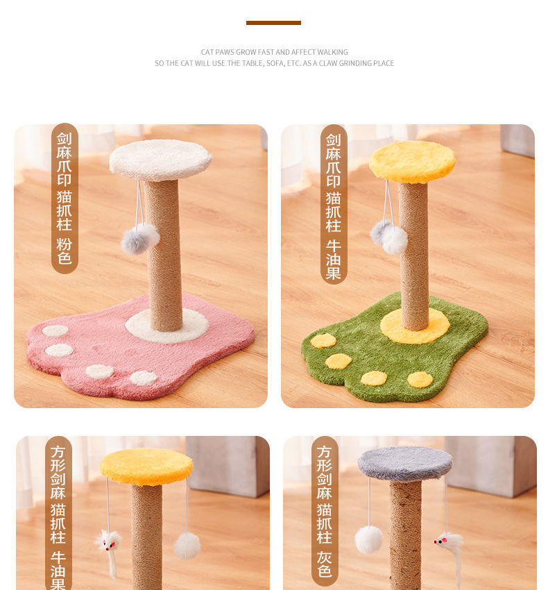 ccba961f-94b5-4f75-a812-b4d702a8e0e9.jpe