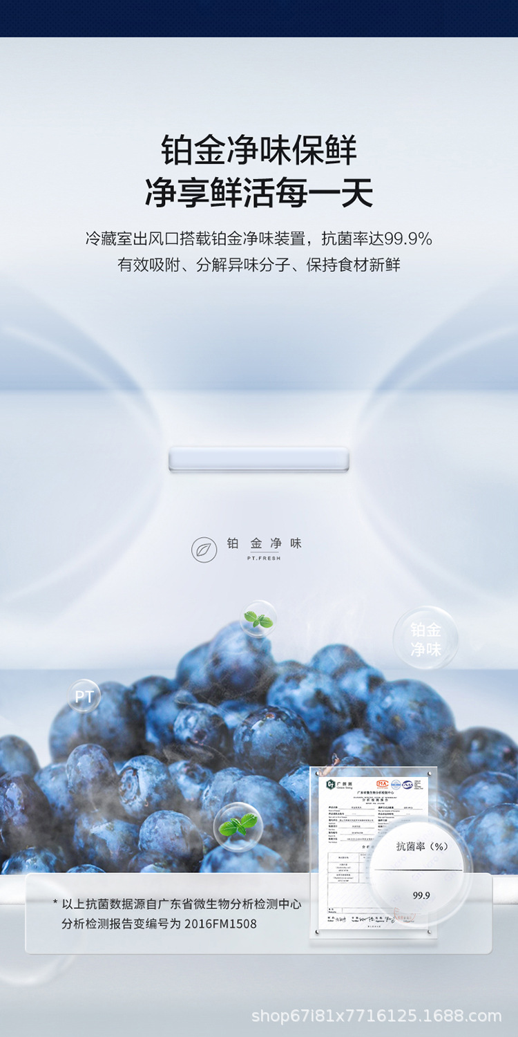 图片_11.jpg
