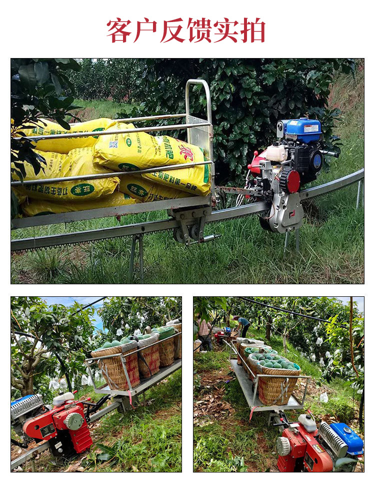 单轨运输车详情_06