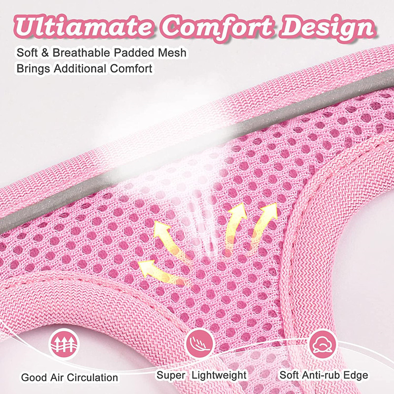 81jPvN6oeWL._AC_SL1500_