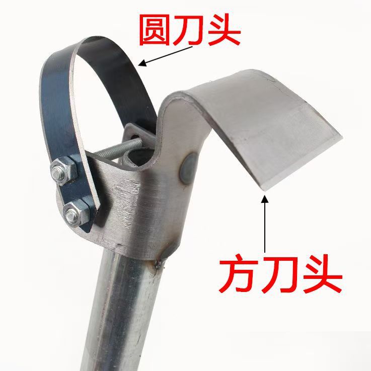 c6015ac7-1933-4acc-a442-3d8e9f12f8bb.jpe