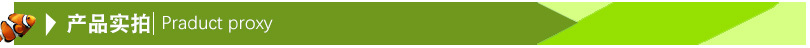 产品实拍