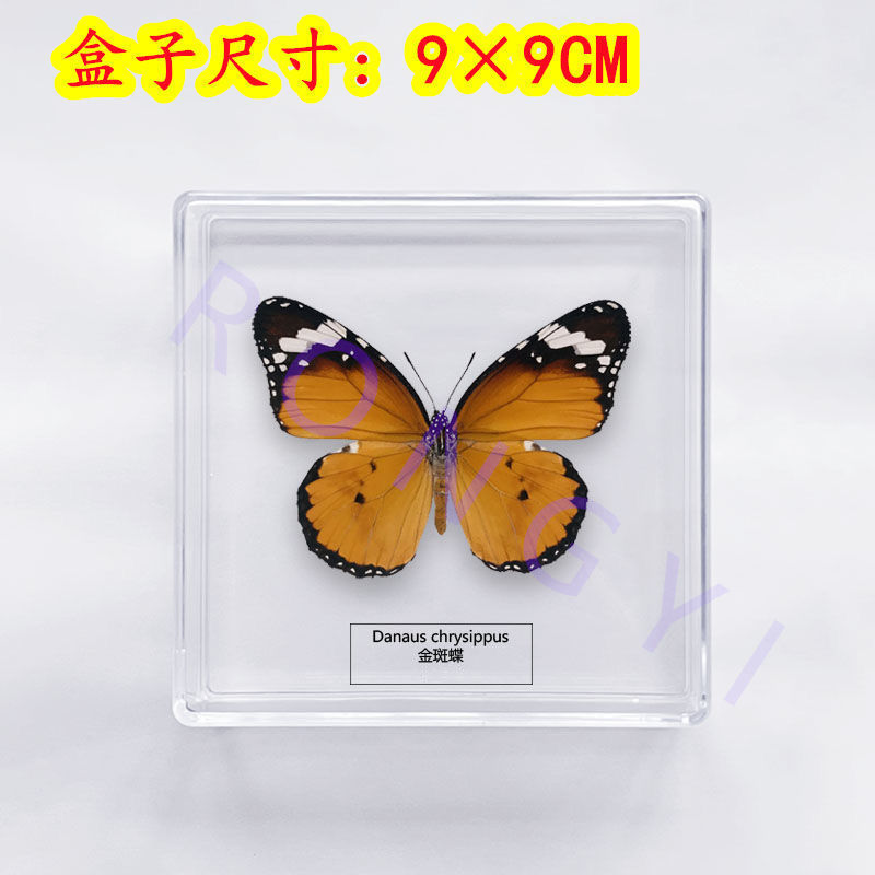 21dcfccf-f405-4a40-836f-57cefb2dba05.jpe
