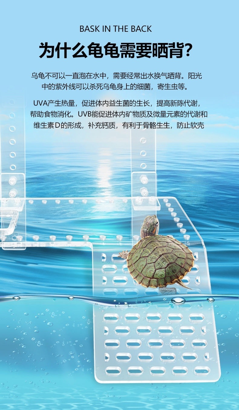 dfc7c482-daef-4cf8-a7db-a528a6c210a1.jpe