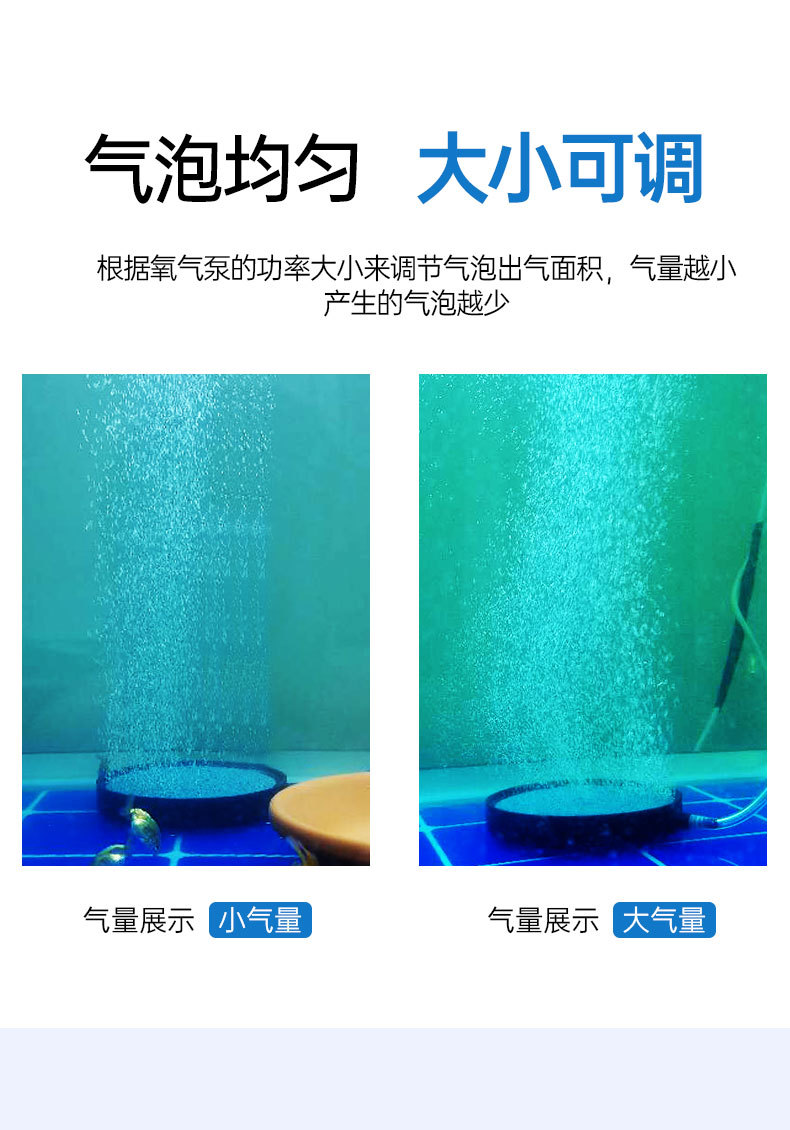 盘_03.jpg