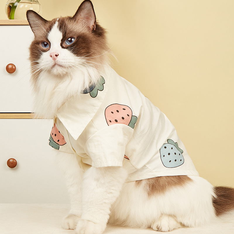 猫猫衣服