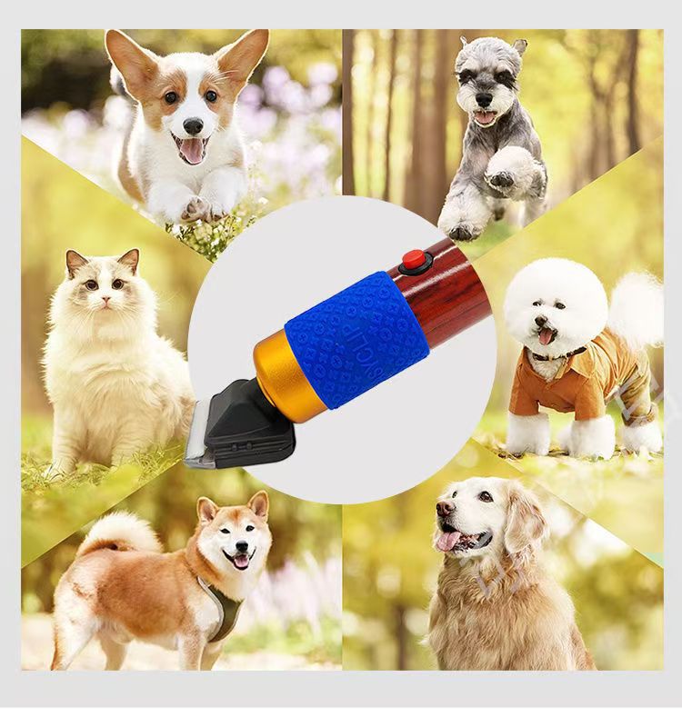 微信图片_20250213111319