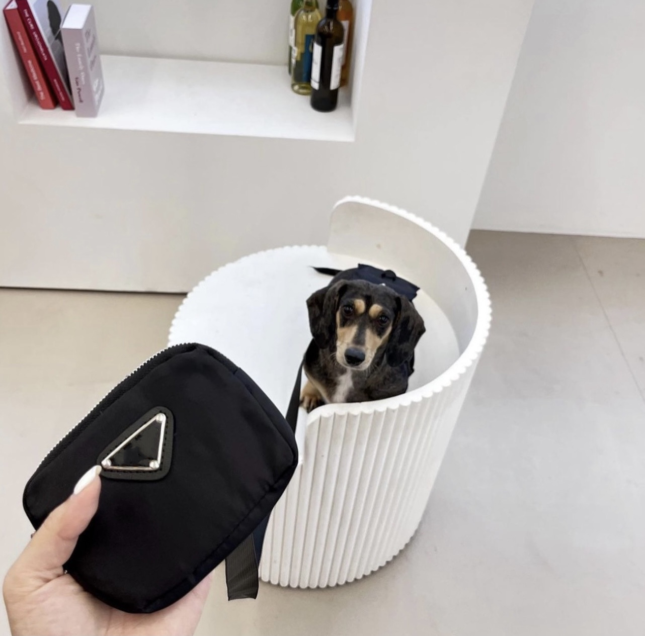 微信图片_20240607140444_副本